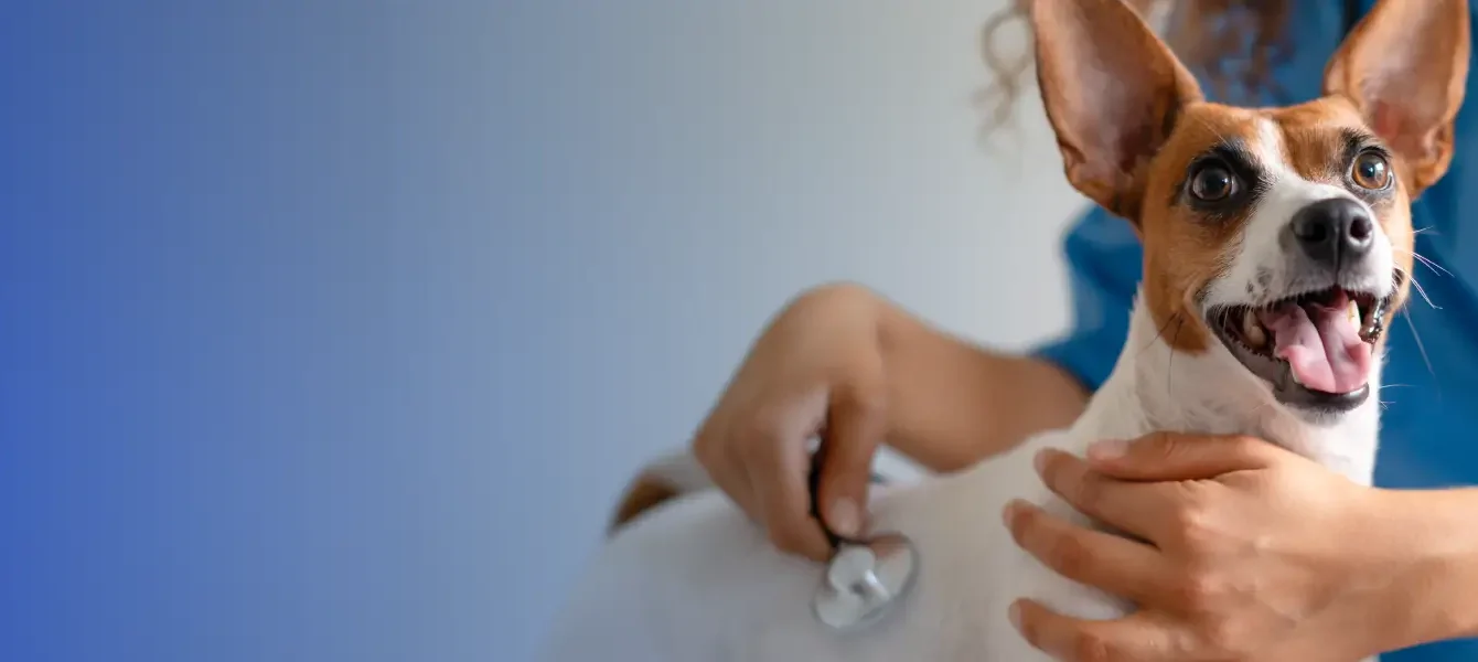 Agilcare Empresas
